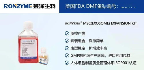 榮澤集團(tuán) 市場(chǎng)調(diào)查成就斐然，穩(wěn)健前行再譜新篇